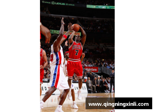 高登魔术队：NBA 精灵的传奇旅程