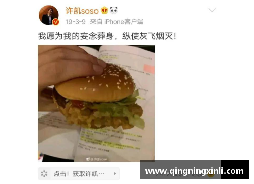 汉堡SV逼平科隆，止不住阵营连败，困境仍未破解
