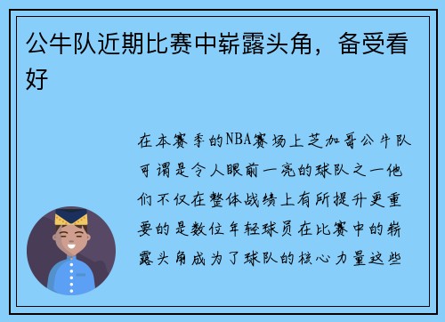 公牛队近期比赛中崭露头角，备受看好