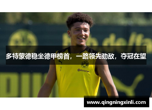 多特蒙德稳坐德甲榜首，一路领先劲敌，夺冠在望