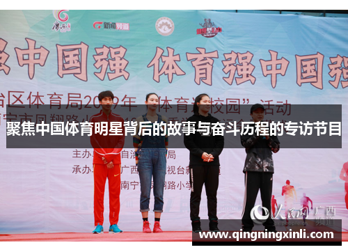 聚焦中国体育明星背后的故事与奋斗历程的专访节目