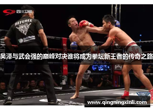 吴泽与武会强的巅峰对决谁将成为拳坛新王者的传奇之路